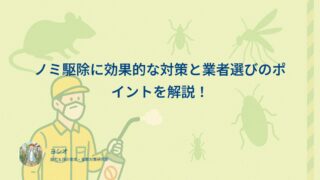ノミ駆除に効果的な対策と業者選びのポイントを解説！