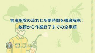 害虫駆除の流れと所要時間を徹底解説！依頼から作業終了までの全手順