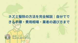 ネズミ駆除の方法を完全解説｜自分でできる手順・費用相場・業者の選び方まで