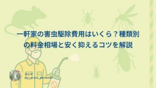一軒家の害虫駆除費用は坪数と作業空間で決まる｜害虫別の相場と内訳