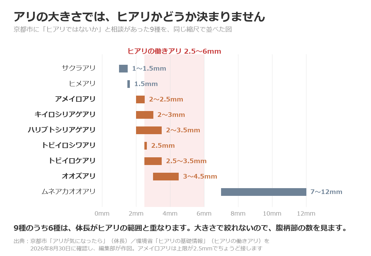 京都市にヒアリではないかと相談があったアリ9種の体長を同じ縮尺で並べた図。9種のうち6種がヒアリの働きアリ2.5〜6mmと重なる