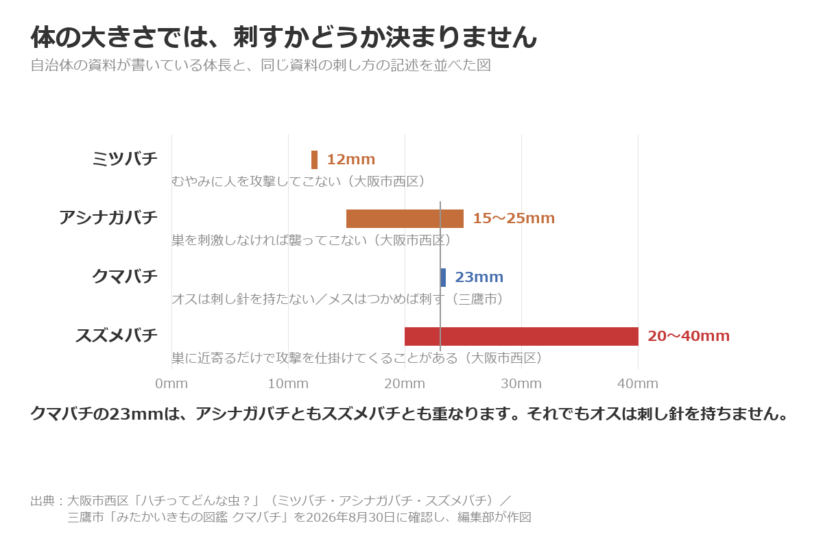 ミツバチ12mm・アシナガバチ15〜25mm・クマバチ23mm・スズメバチ20〜40mmの体長を並べた図。クマバチの23mmはアシナガバチともスズメバチとも重なる