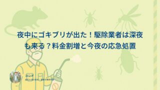 夜中にゴキブリが出た！駆除業者は深夜も来る？料金割増と今夜の応急処置