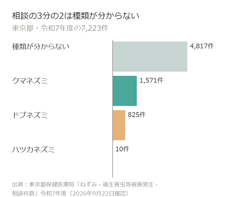 東京都のネズミの相談7,223件のうち種類が分からないのは4,817件、クマネズミ1,571件、ドブネズミ825件