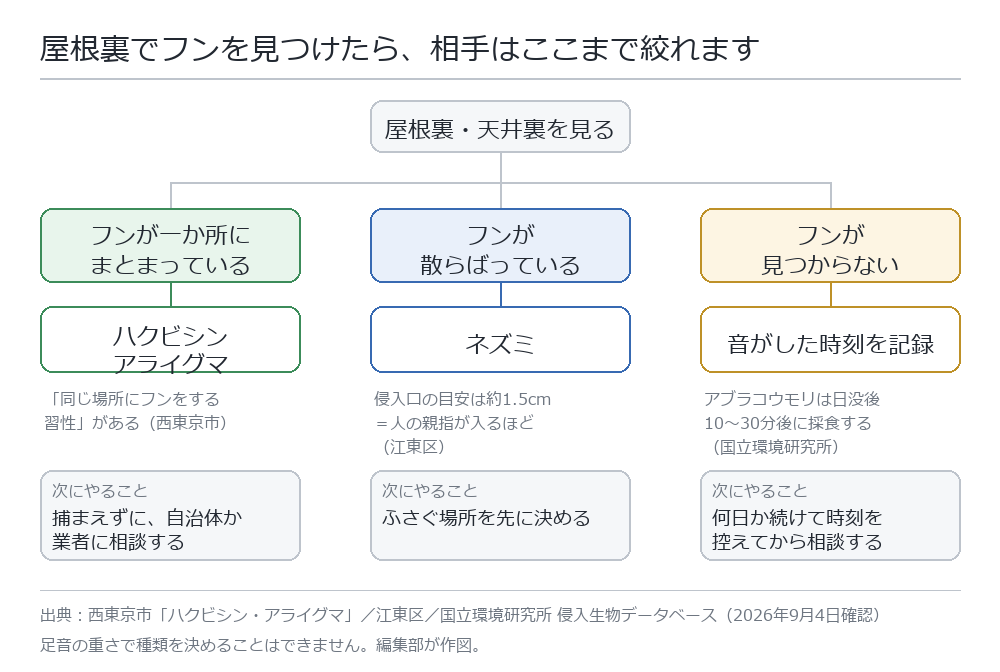 屋根裏でフンが一か所にまとまっていればハクビシンかアライグマ、散らばっていればネズミ、見つからなければ音のした時刻を記録する、という分岐図