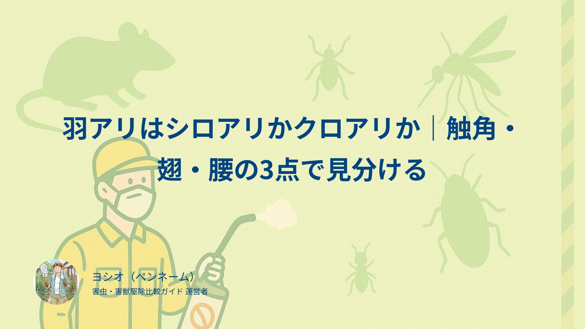 羽アリはシロアリかクロアリか｜触角・翅・腰の3点で見分ける