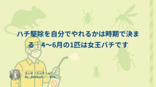 ハチ駆除を自分でやれるかは時期で決まる｜4〜6月の1匹は女王バチです