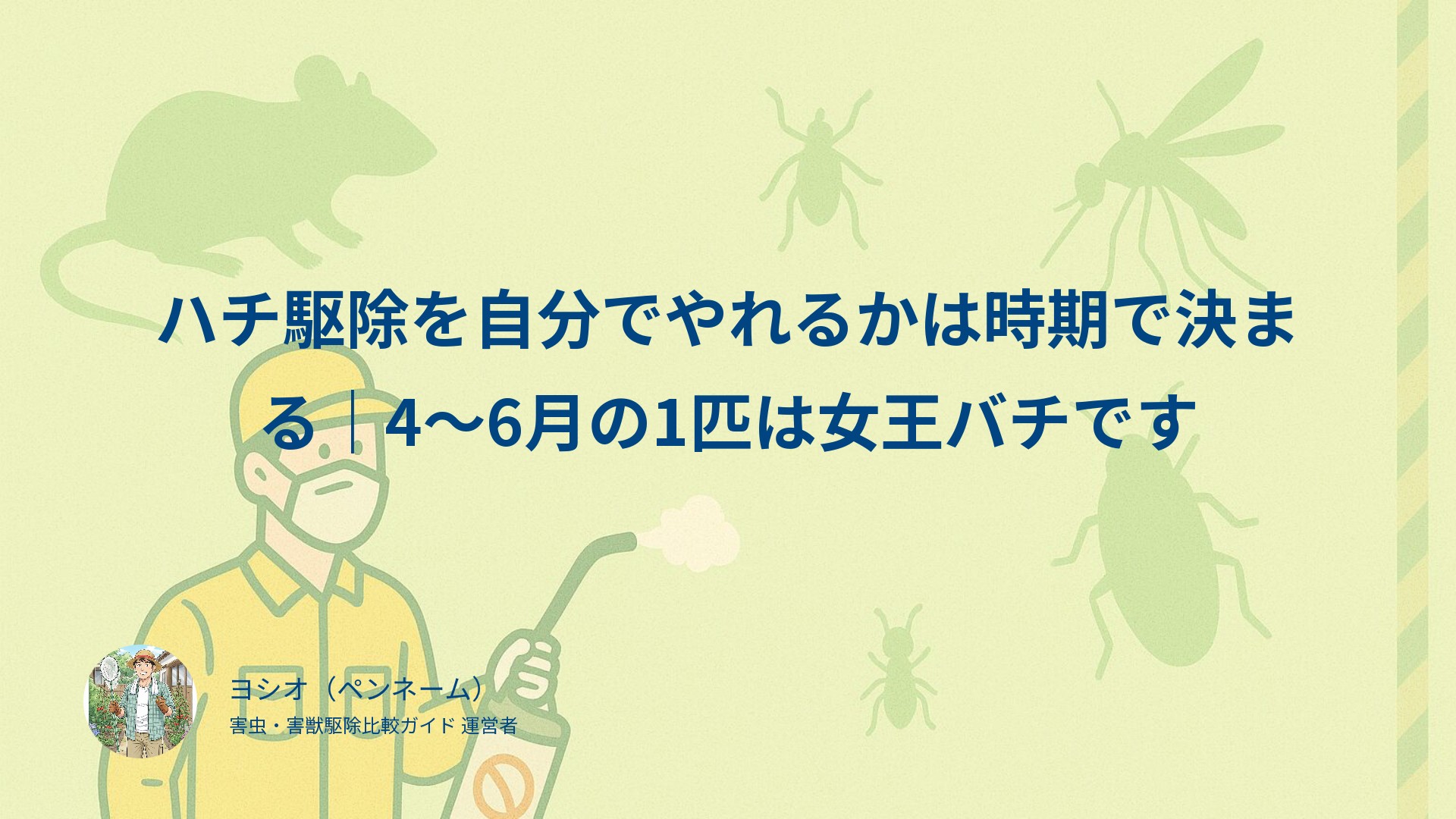 ハチ駆除を自分でやれるかは時期で決まる｜4〜6月の1匹は女王バチです