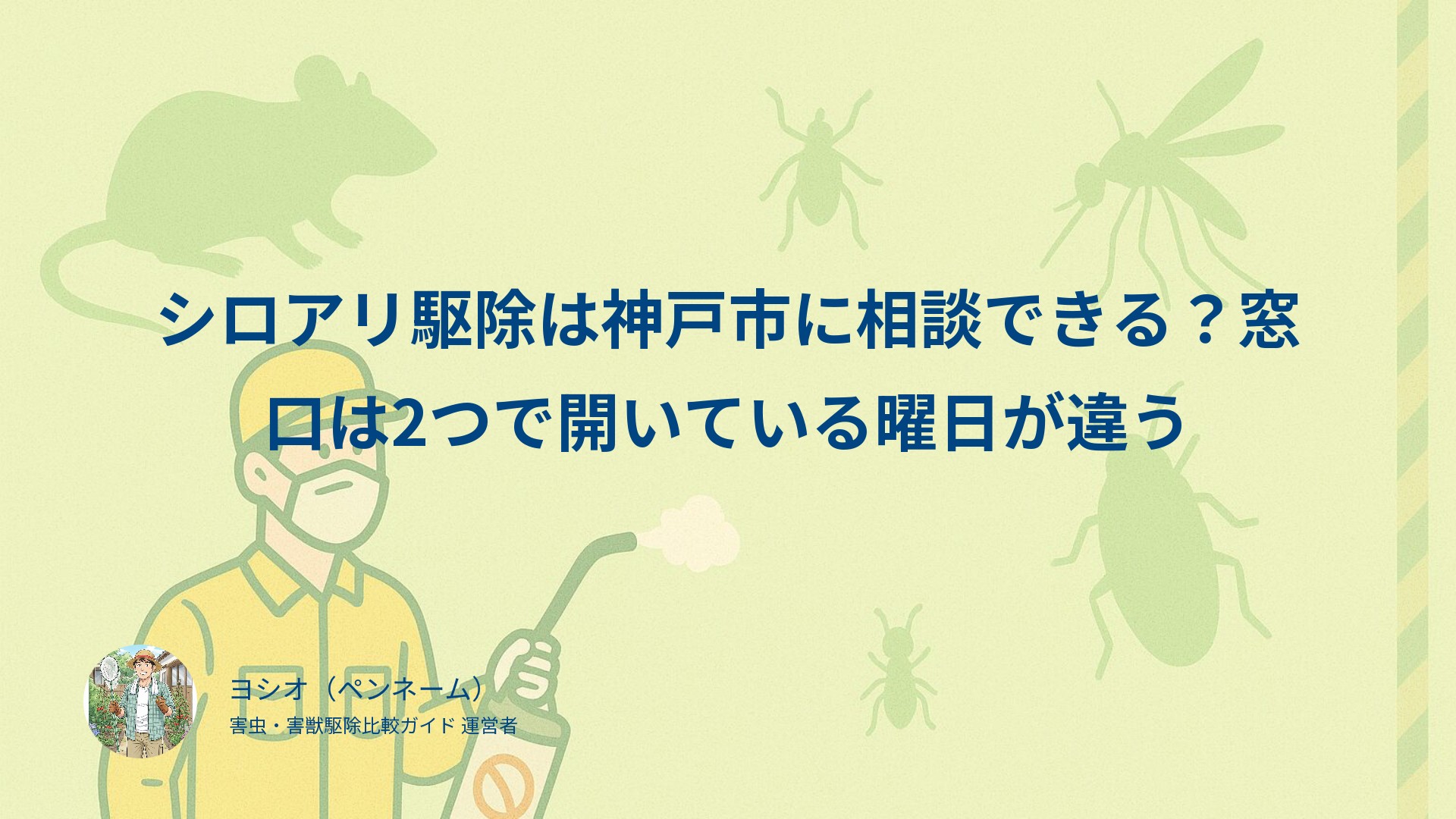 シロアリ駆除は神戸市に相談できる？窓口は2つで開いている曜日が違う