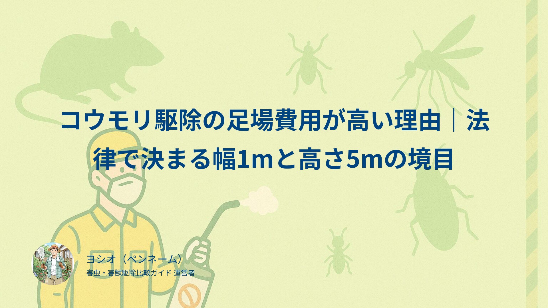 コウモリ駆除の足場費用が高い理由｜法律で決まる幅1mと高さ5mの境目