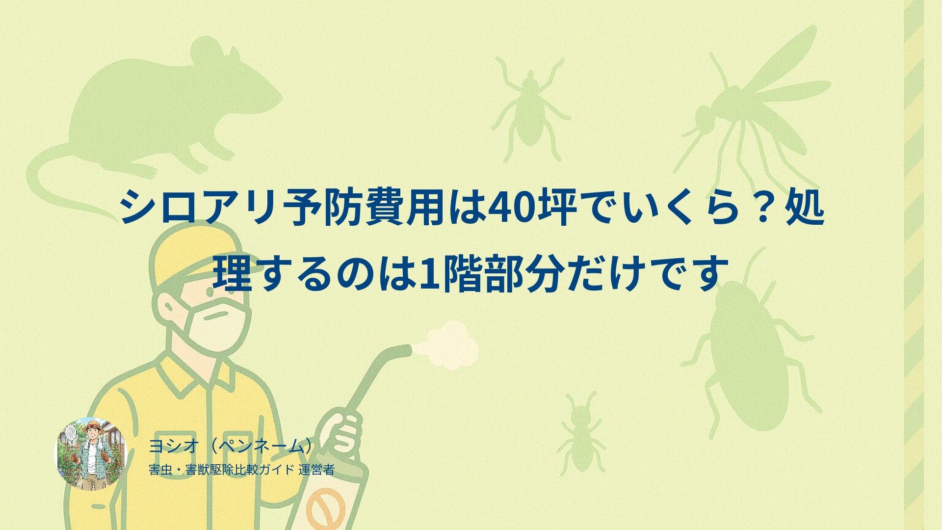 シロアリ予防費用は40坪でいくら？処理するのは1階部分だけです