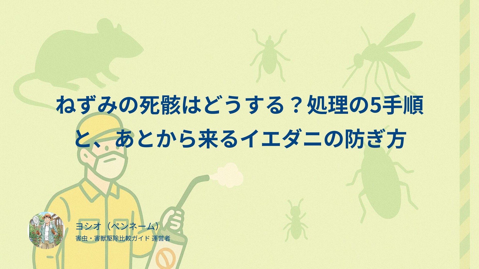 ねずみの死骸はどうする？処理の5手順と、あとから来るイエダニの防ぎ方