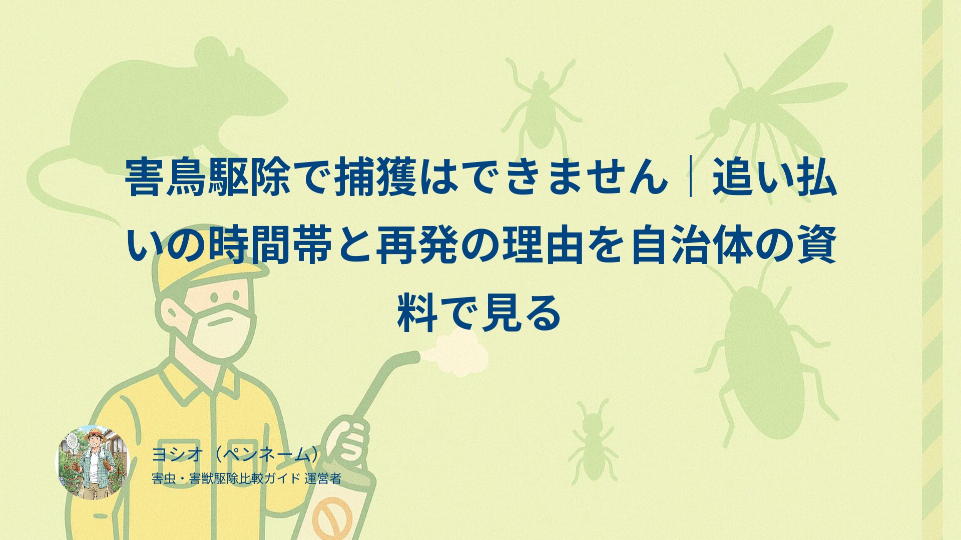 害鳥駆除で捕獲はできません｜追い払いの時間帯と再発の理由を自治体の資料で見る