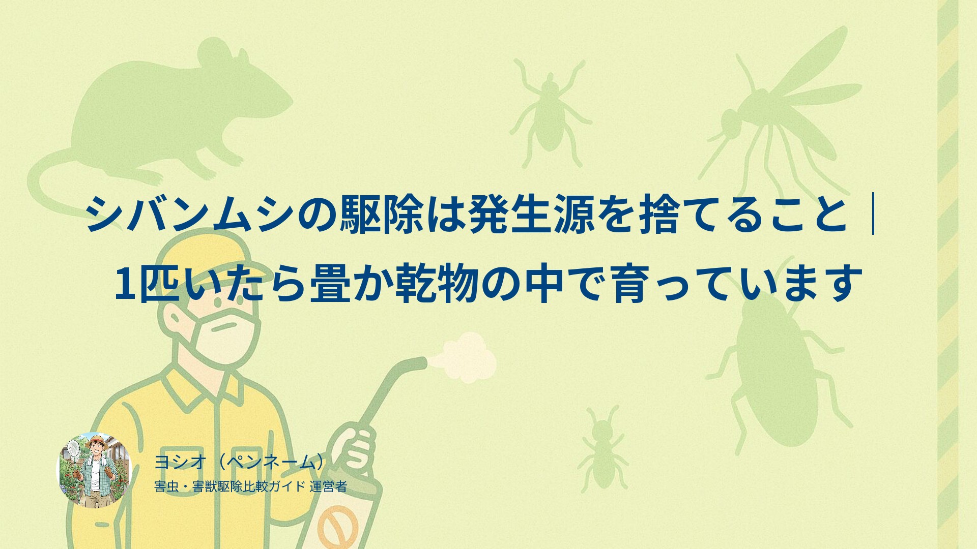シバンムシの駆除は発生源を捨てること｜1匹いたら畳か乾物の中で育っています