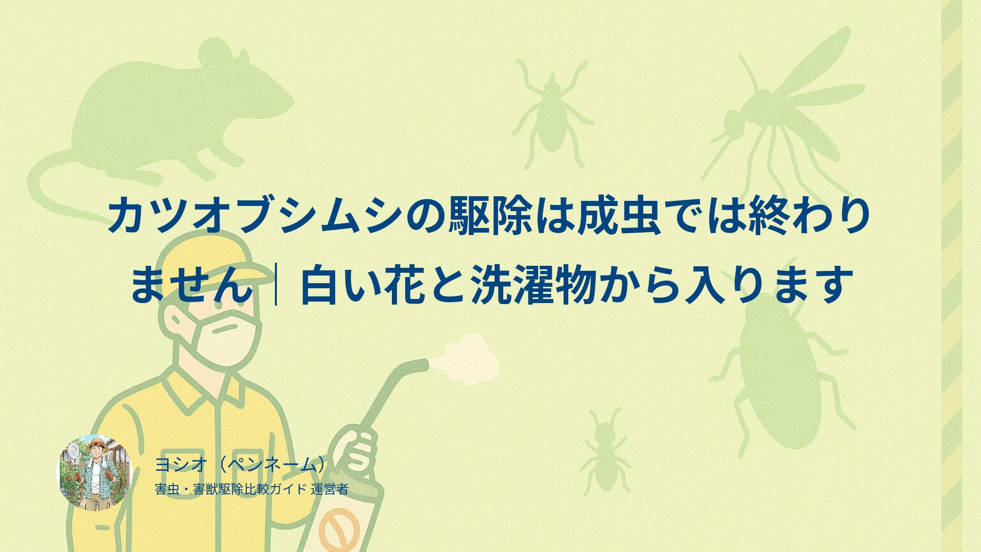 カツオブシムシの駆除は成虫では終わりません｜白い花と洗濯物から入ります