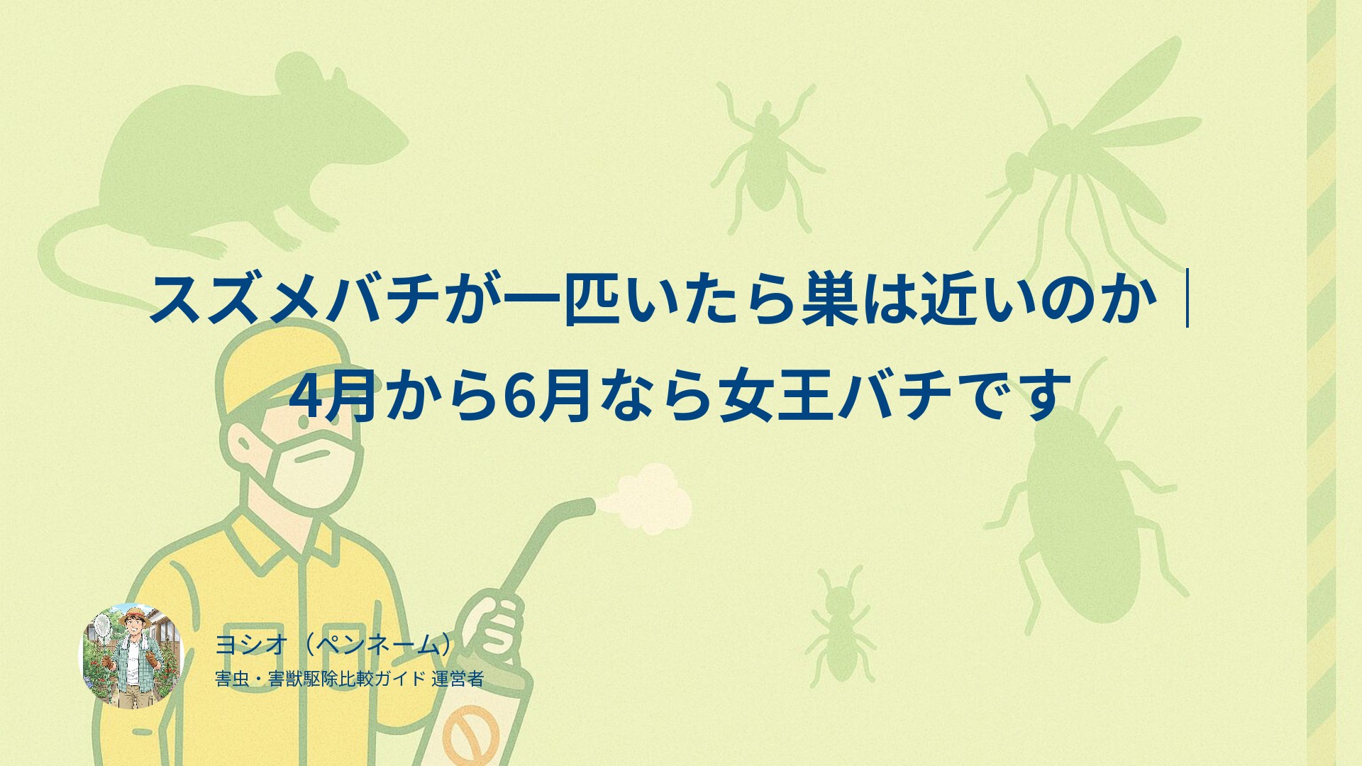スズメバチが一匹いたら巣は近いのか｜4月から6月なら女王バチです