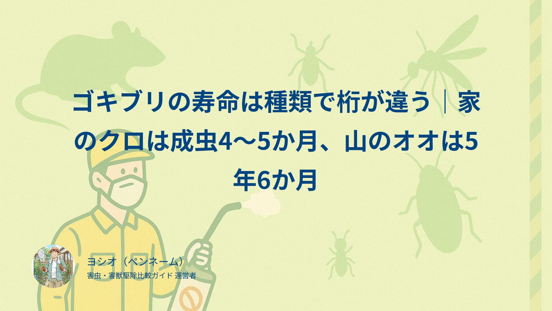 ゴキブリの寿命は種類で桁が違う｜家のクロは成虫4〜5か月、山のオオは5年6か月