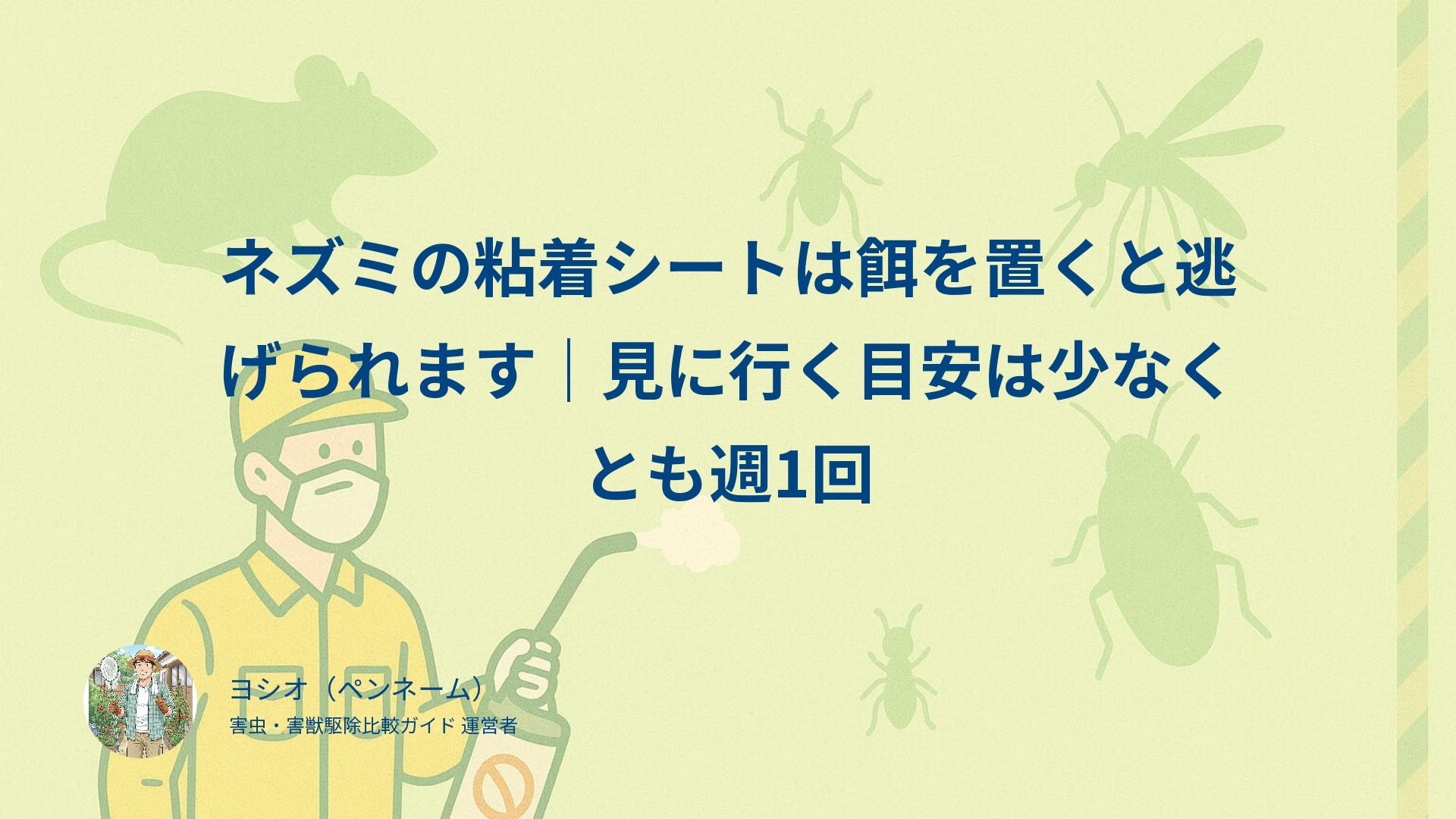 ネズミの粘着シートは餌を置くと逃げられます｜見に行く目安は少なくとも週1回