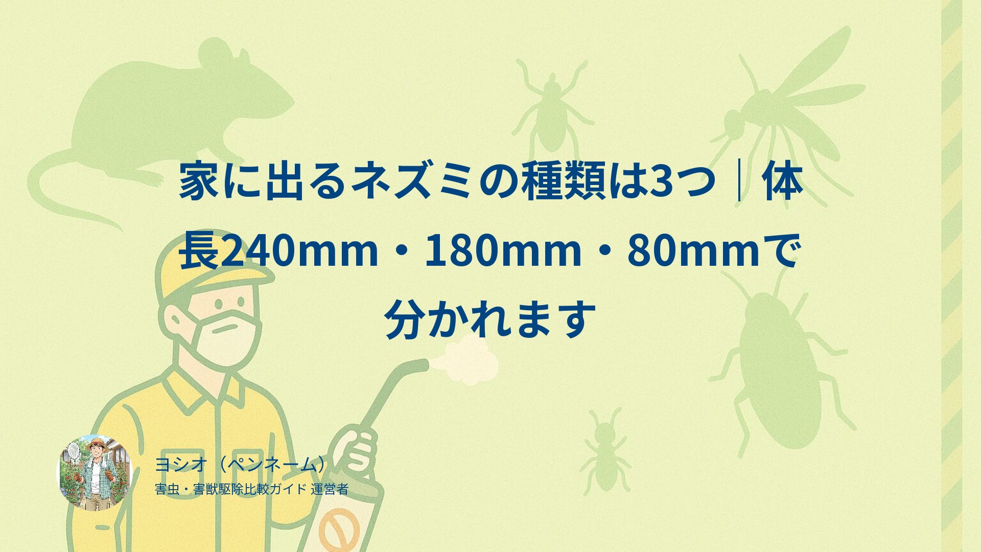 家に出るネズミの種類は3つ｜体長240mm・180mm・80mmで分かれます