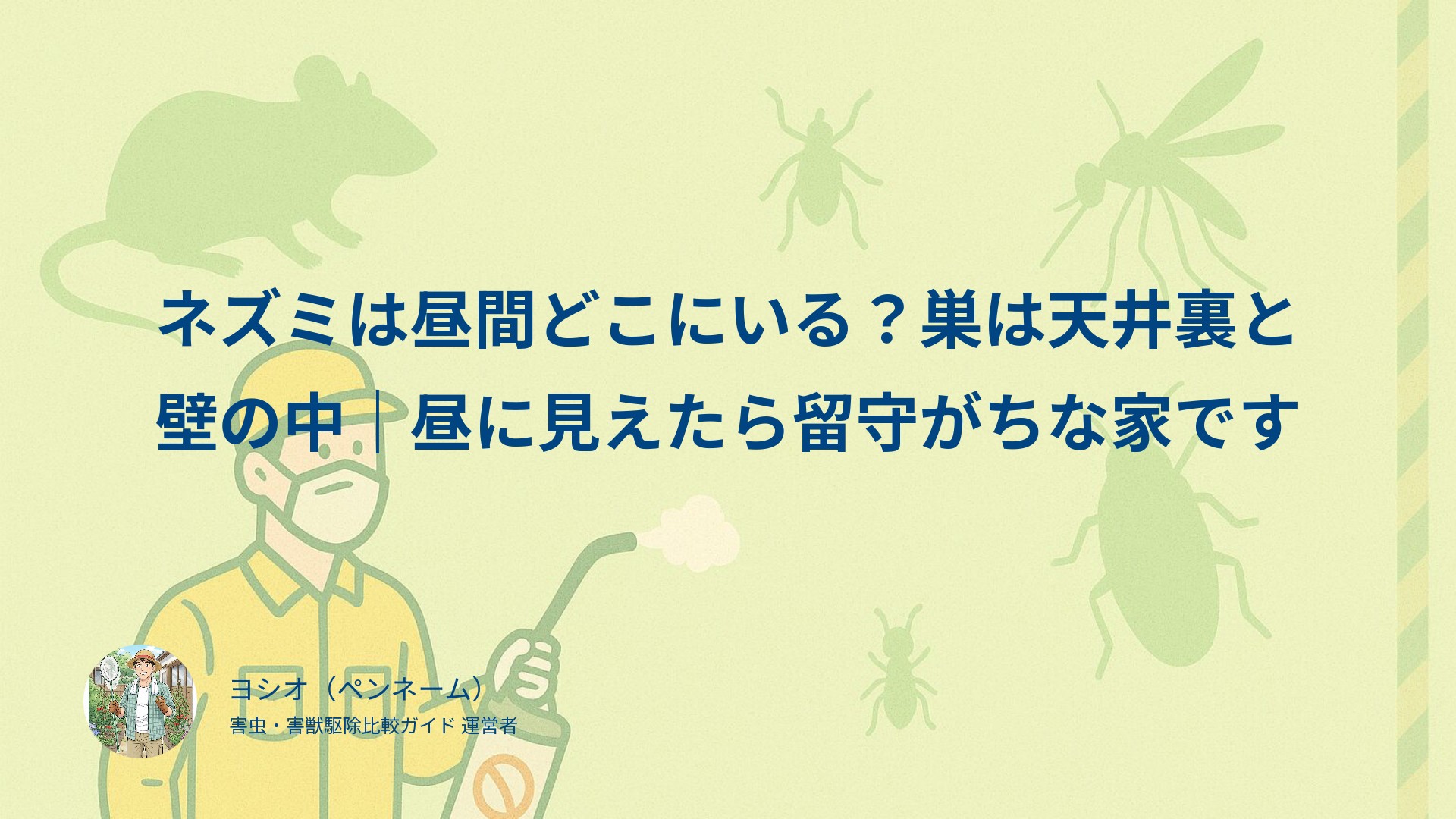 ネズミは昼間どこにいる？巣は天井裏と壁の中｜昼に見えたら留守がちな家です