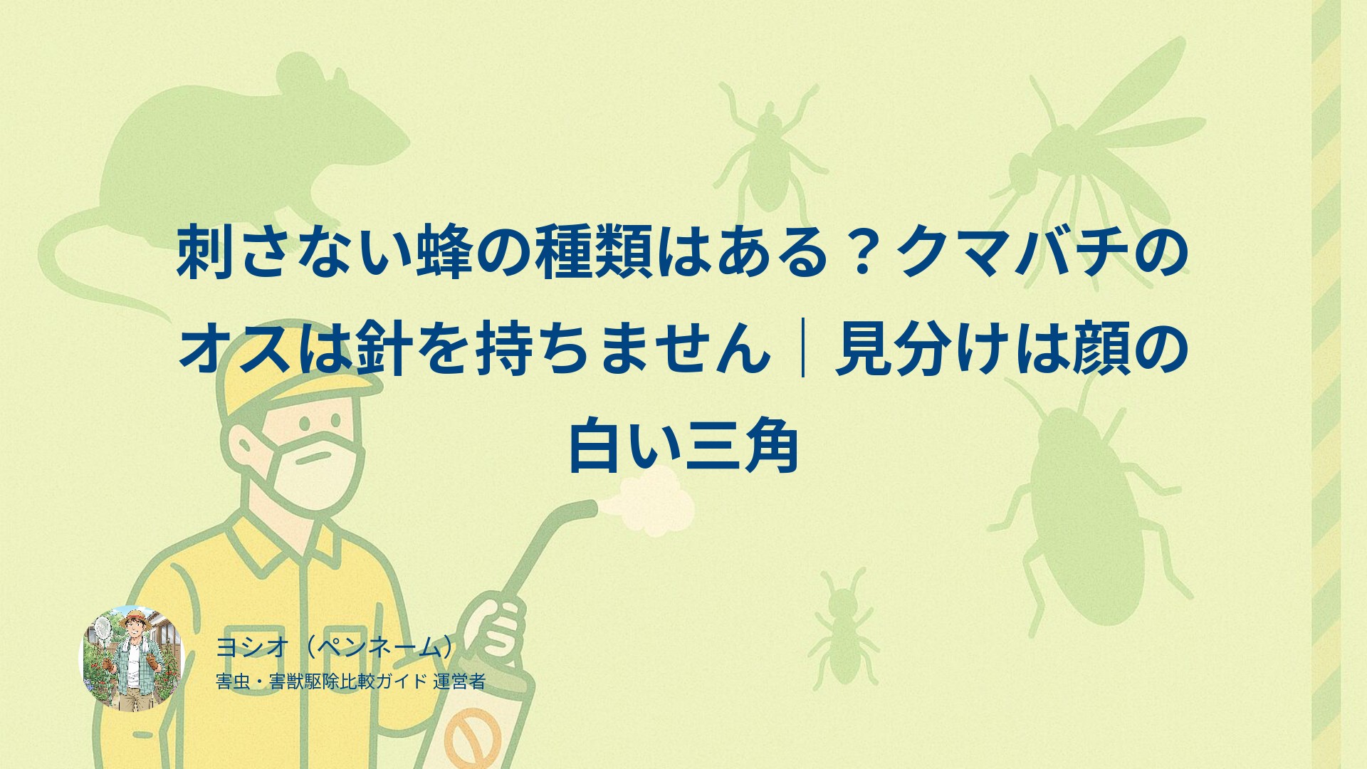 刺さない蜂の種類はある？クマバチのオスは針を持ちません｜見分けは顔の白い三角