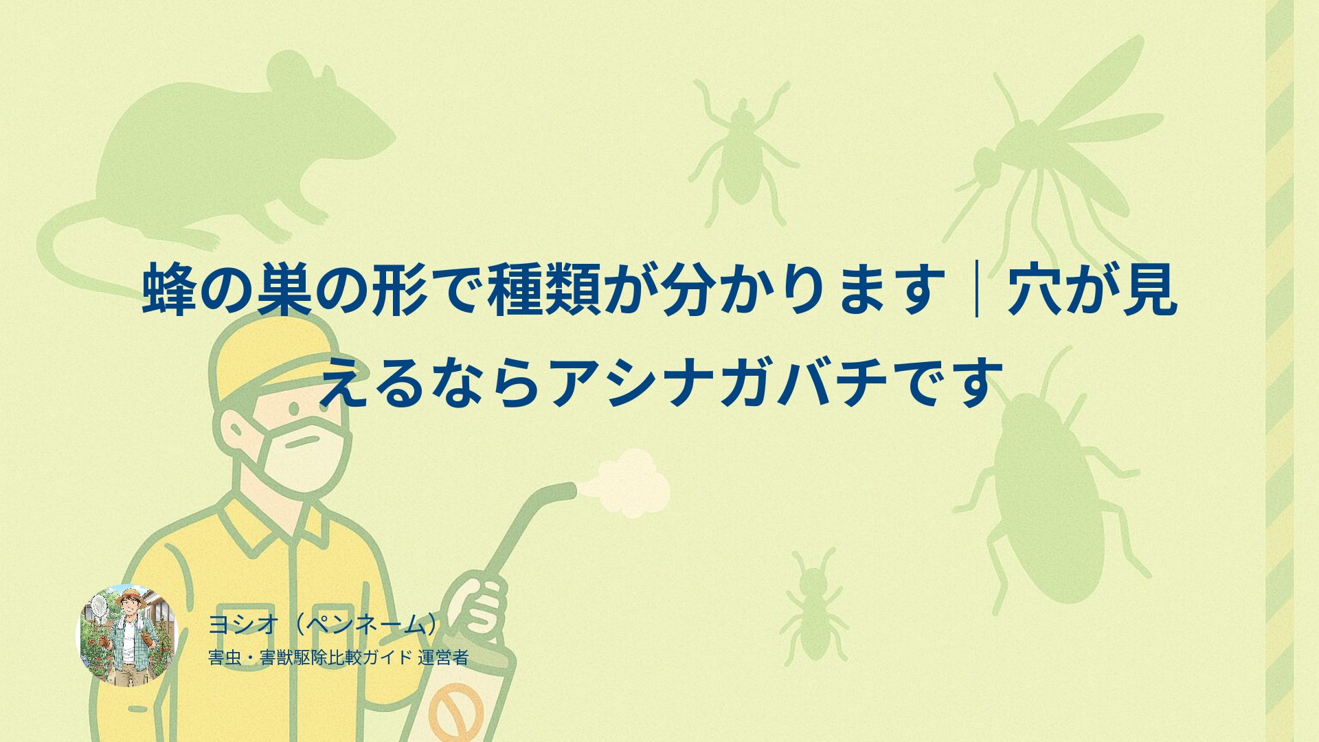 蜂の巣の形で種類が分かります｜穴が見えるならアシナガバチです