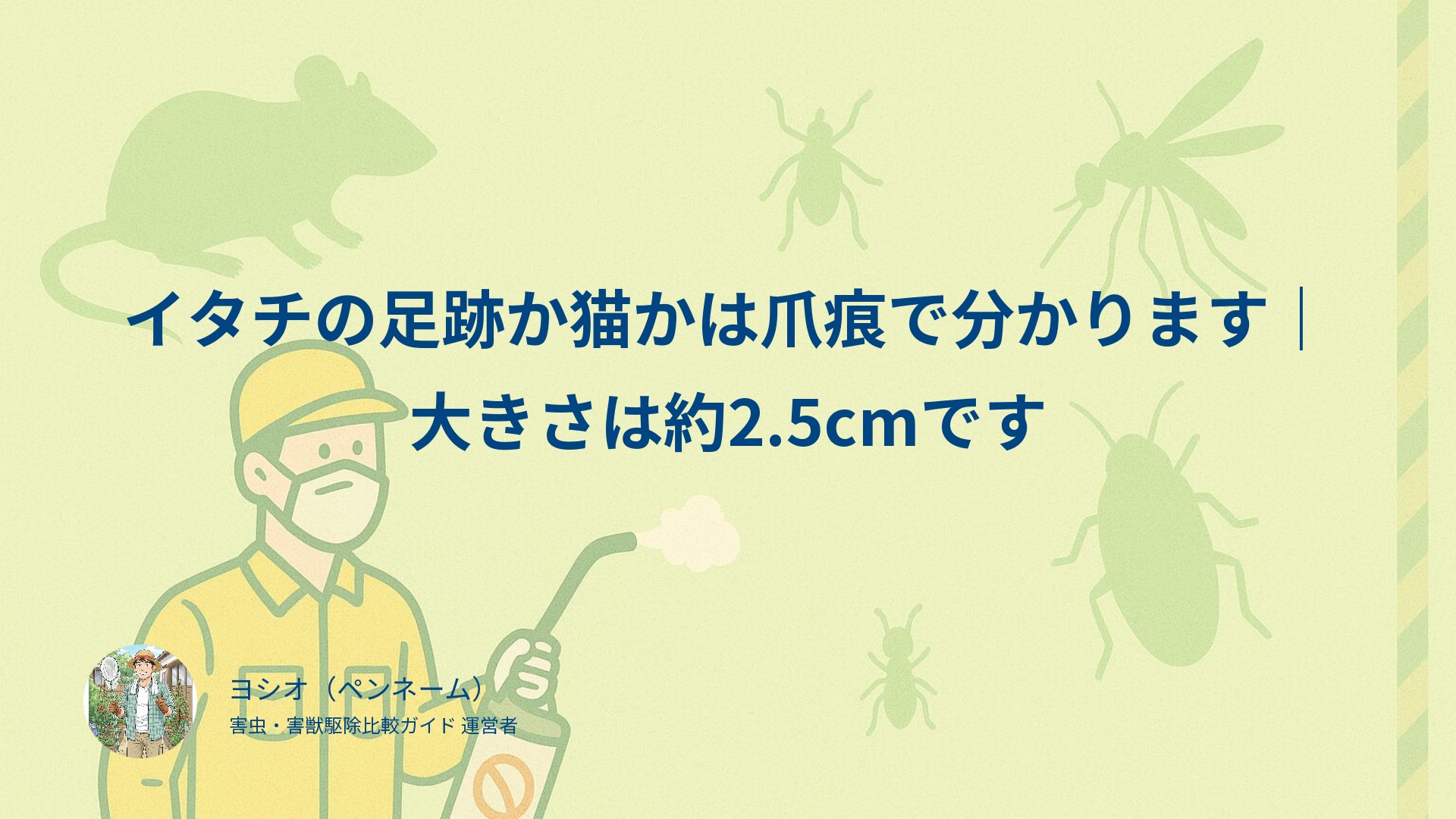 イタチの足跡か猫かは爪痕で分かります｜大きさは約2.5cmです