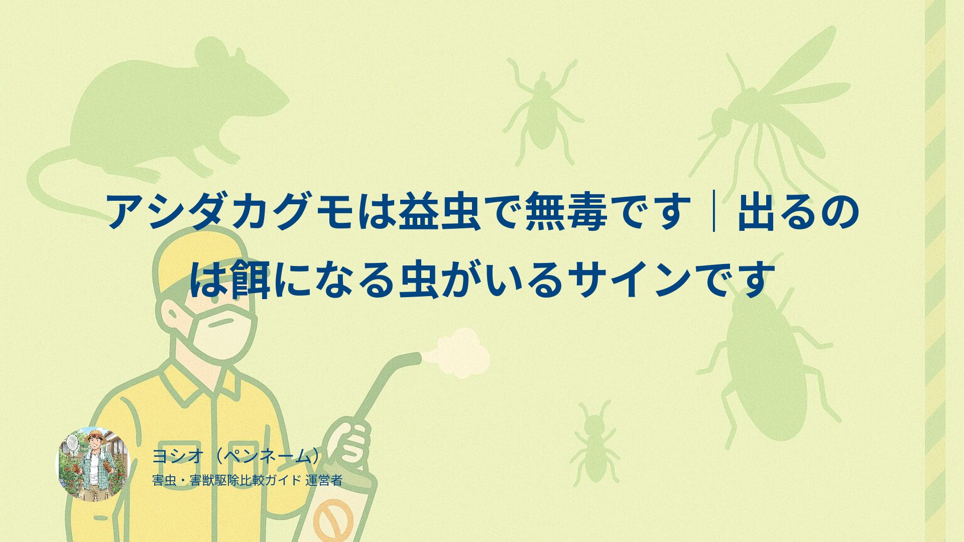 アシダカグモは益虫で無毒です｜出るのは餌になる虫がいるサインです