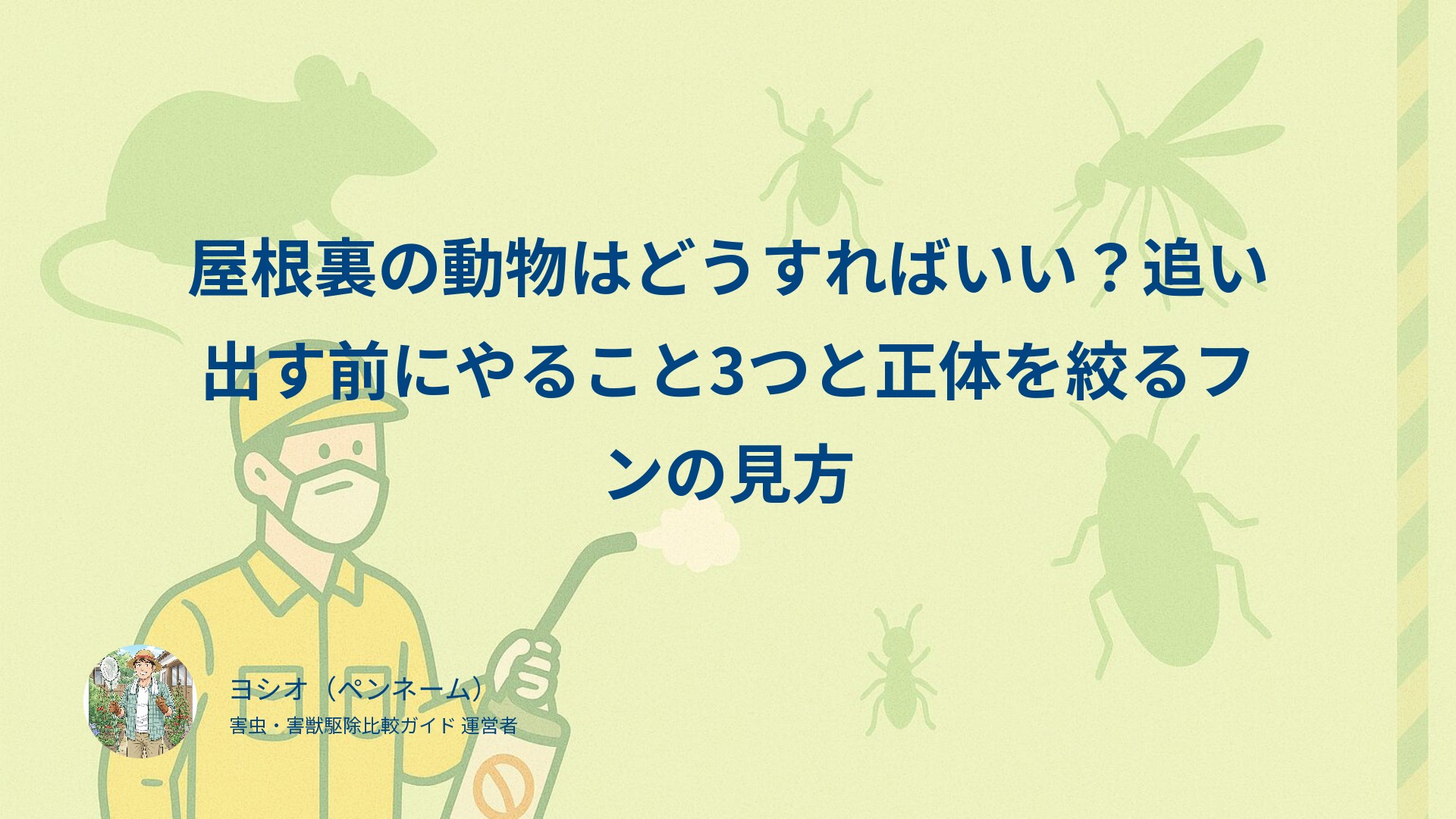 屋根裏の動物はどうすればいい？追い出す前にやること3つと正体を絞るフンの見方