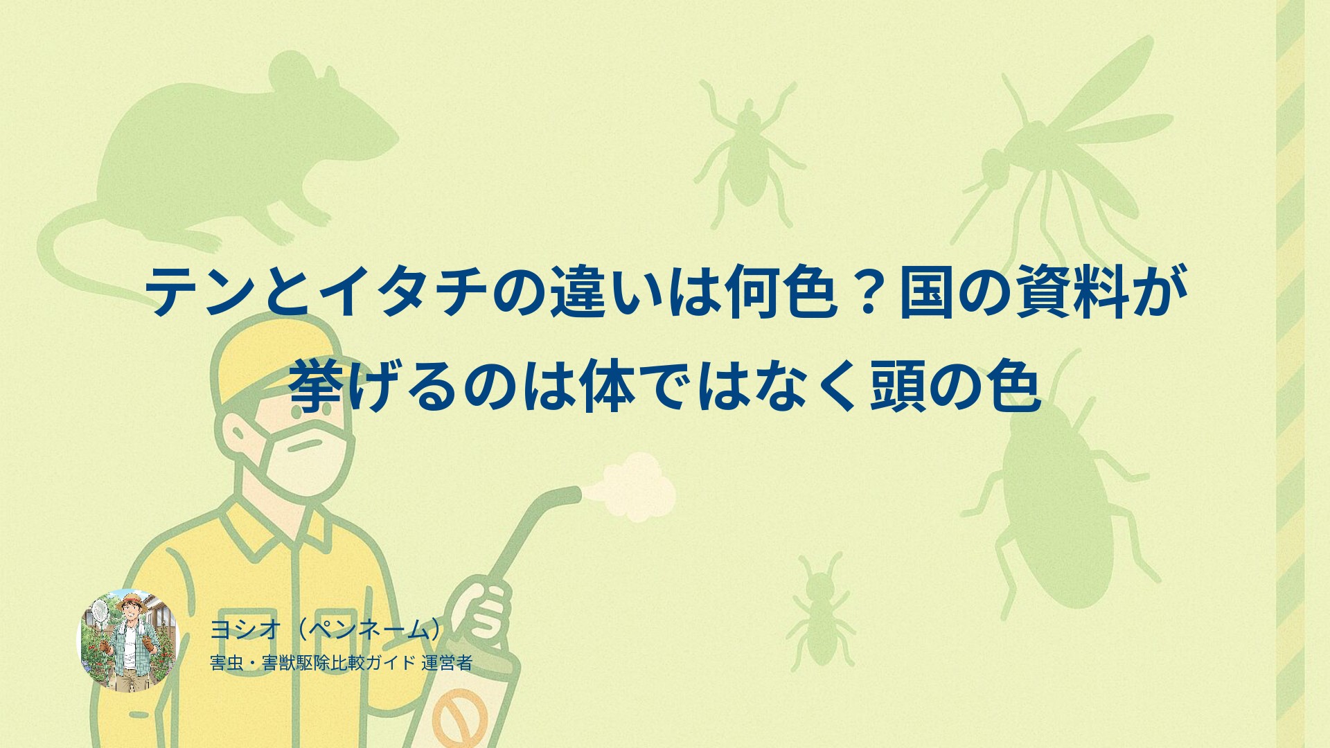 テンとイタチの違いは何色？国の資料が挙げるのは体ではなく頭の色