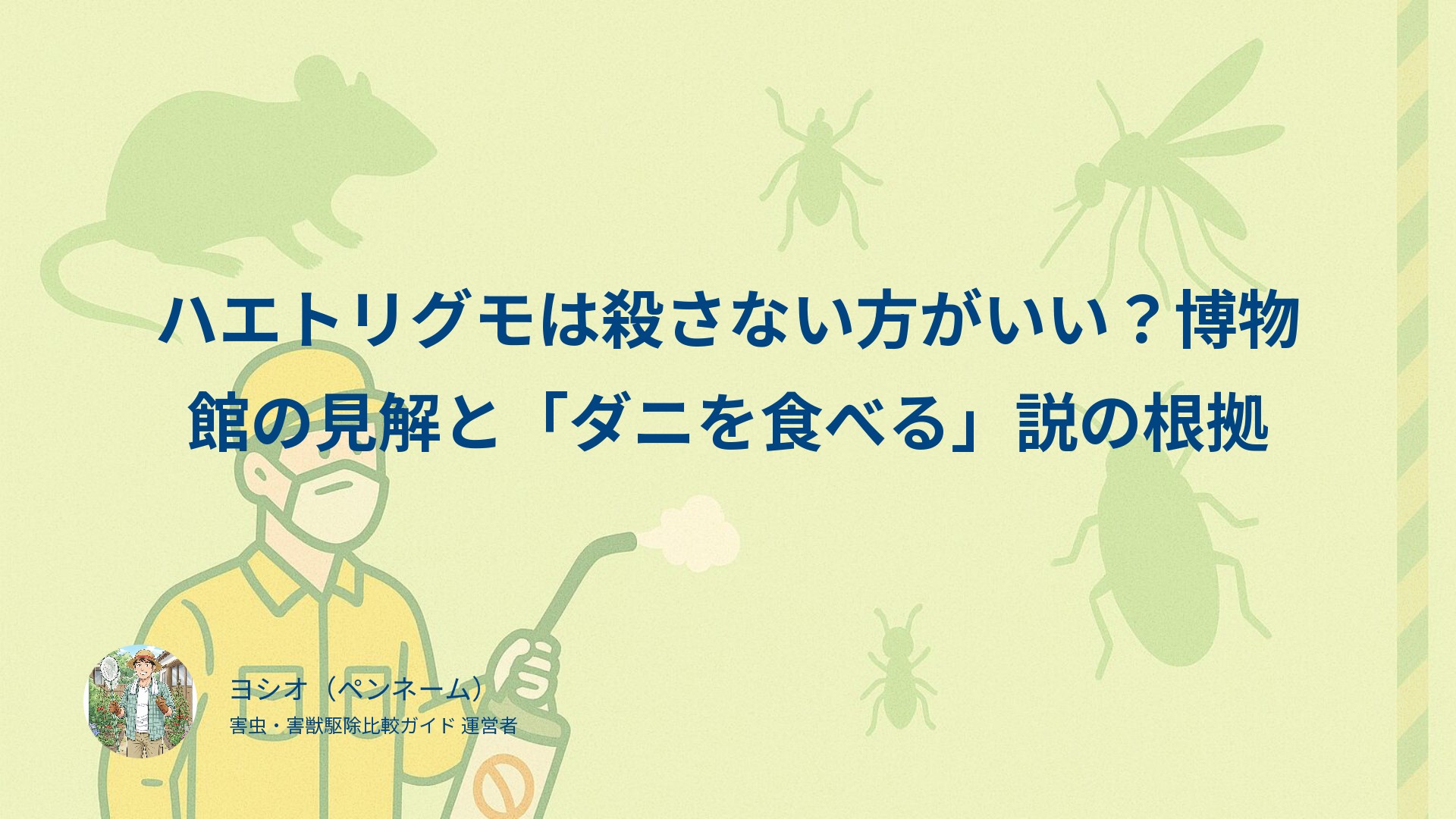 ハエトリグモは殺さない方がいい？博物館の見解と「ダニを食べる」説の根拠
