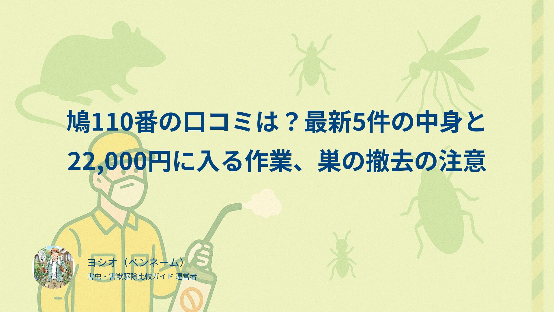 鳩110番の口コミは？最新5件の中身と22,000円に入る作業、巣の撤去の注意
