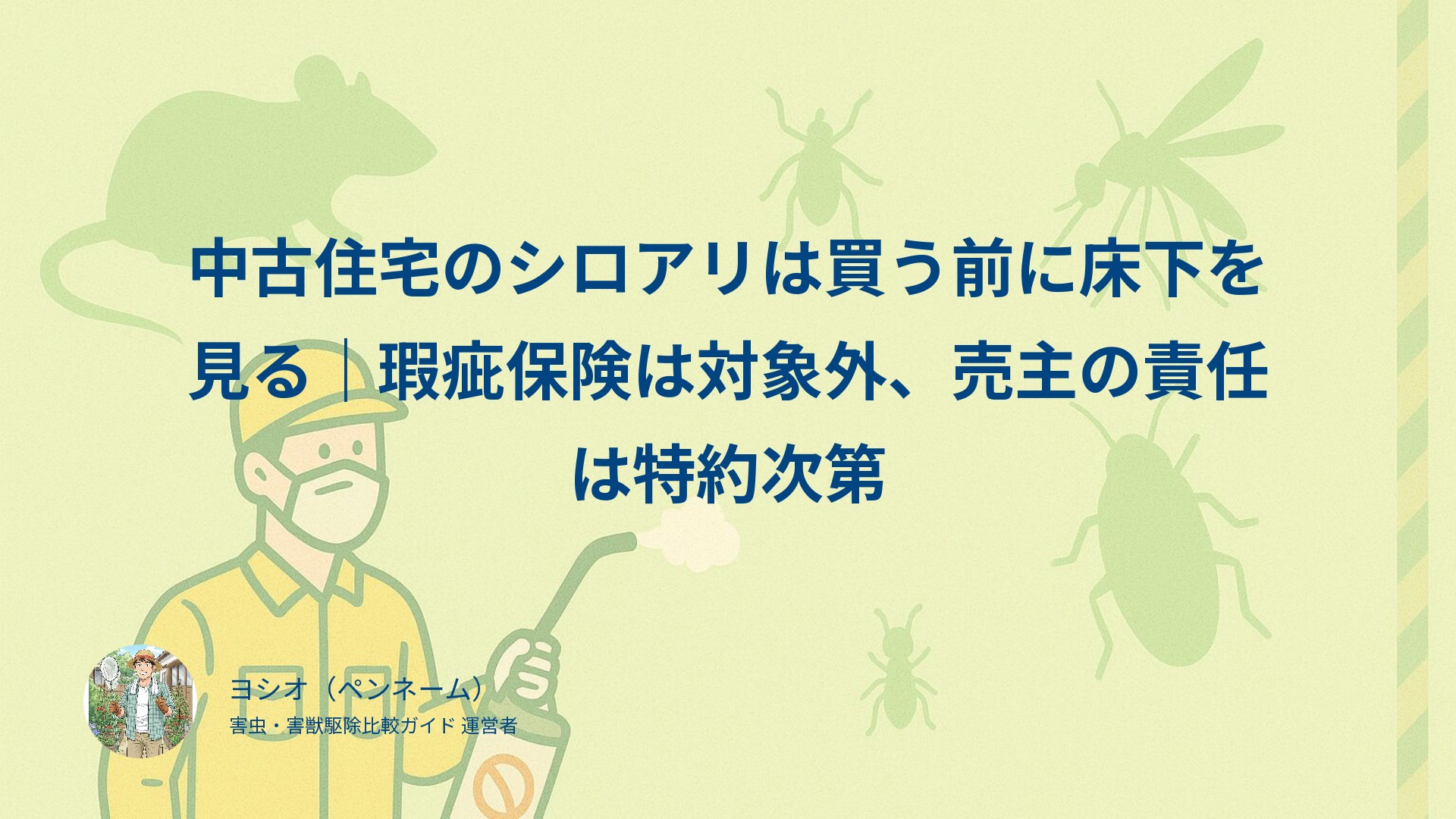 中古住宅のシロアリは買う前に床下を見る｜瑕疵保険は対象外、売主の責任は特約次第