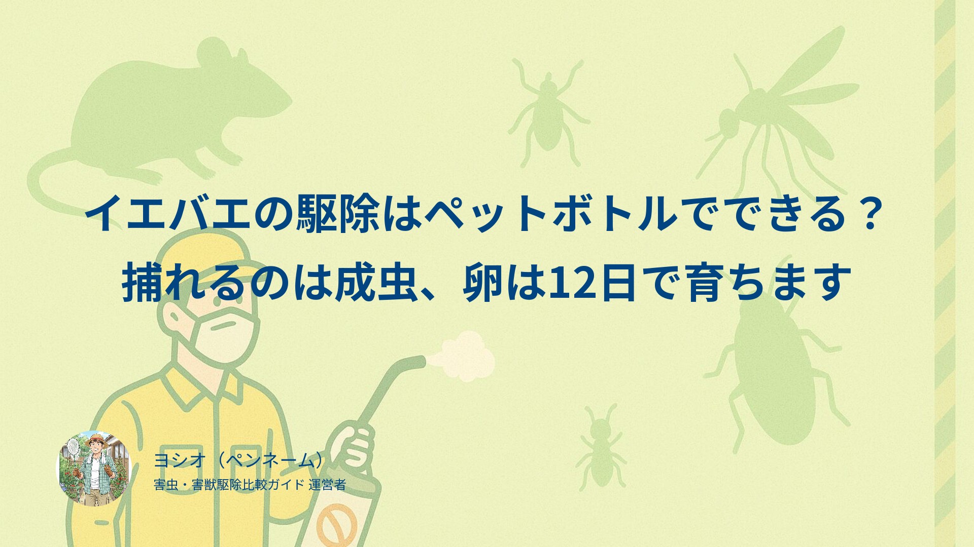 イエバエの駆除はペットボトルでできる？捕れるのは成虫、卵は12日で育ちます