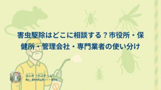 害虫駆除はどこに相談する？市役所・保健所・管理会社・専門業者の使い分け