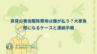 賃貸の害虫駆除費用は誰が払う？大家負担になるケースと連絡手順